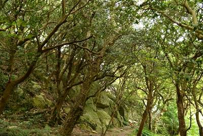 1742373916661315.jpg 1.jpg