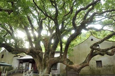 1742373931660375.jpg 2.jpg