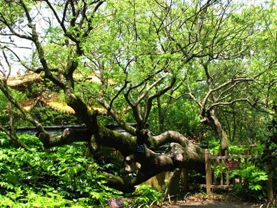 1742373946857624.jpg 4.jpg