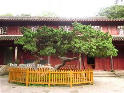 1742373951403621.jpg 5.jpg