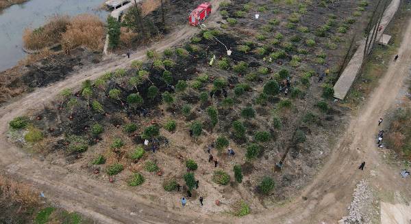 1742448898670216.jpg 1.jpg