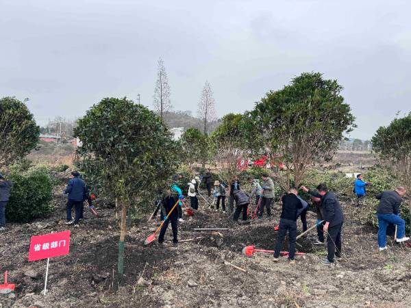 1742448906871200.jpeg 2.jpeg