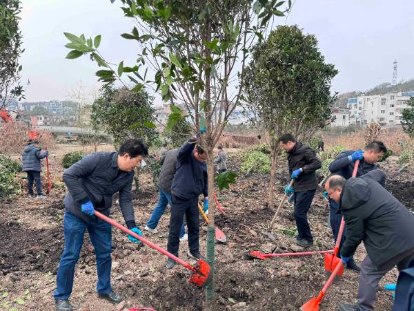 1742448917558629.jpeg 3.jpeg