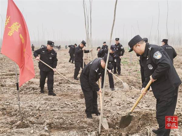 1742452811645142.jpg 12 (1).jpg