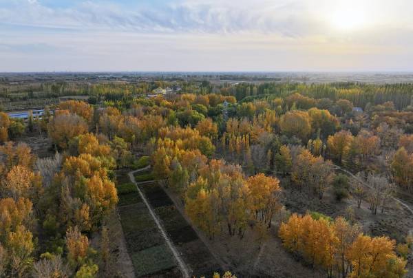 1742535941811820.jpg 3.jpg