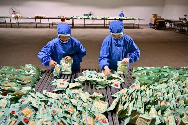 1742535959575206.jpg 6.jpg