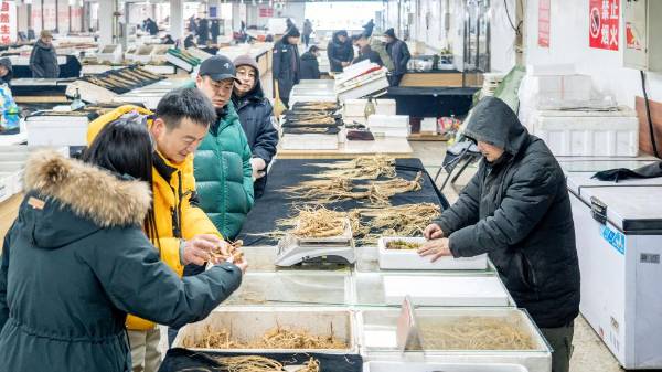 1742535967235078.jpg 7.jpg