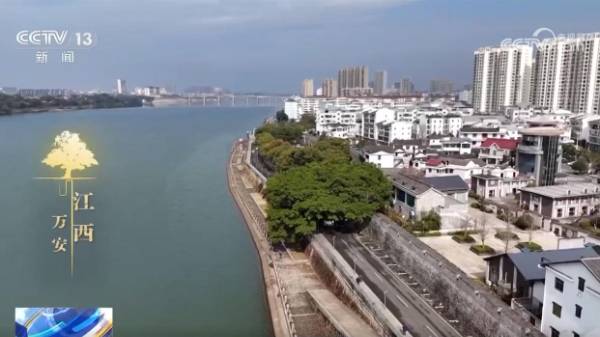 1742536865365142.jpg 1.jpg