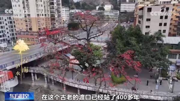 1742536874130274.jpg 2.jpg