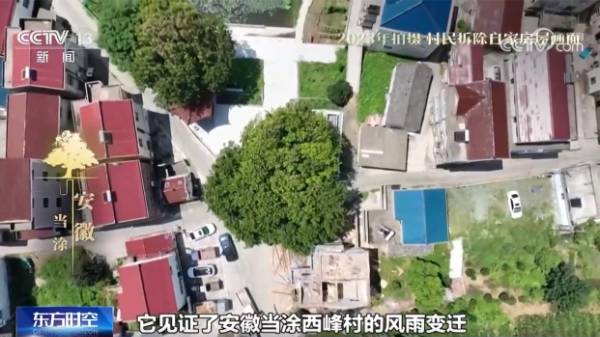 1742536881484268.jpg 3.jpg