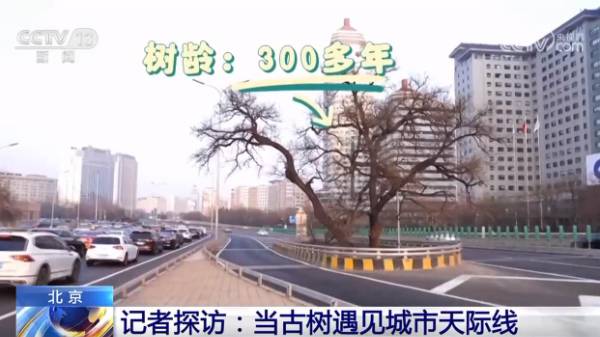 1742536905239477.jpg 5.jpg