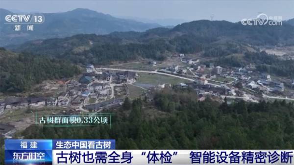 1742536927295799.jpg 7.jpg