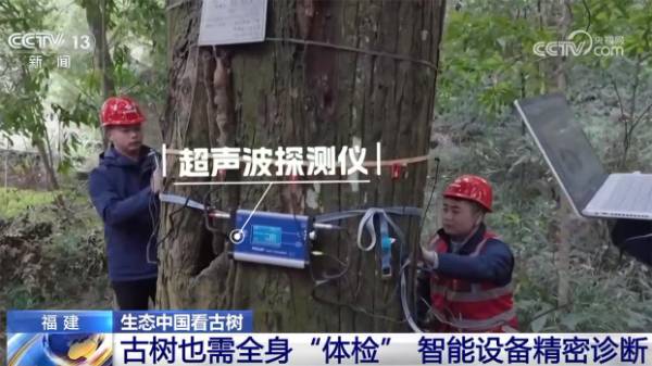 1742536936642983.jpg 8.jpg