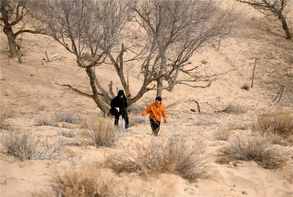 1742539807784771.jpg 1.jpg