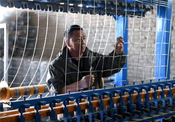 1742539829389591.jpg 2.jpg