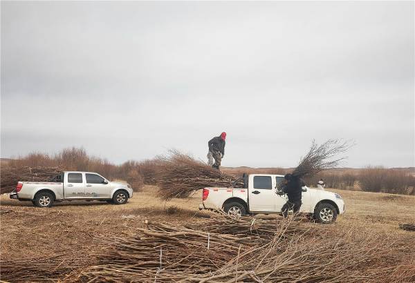 1742539847469633.jpg 3.jpg