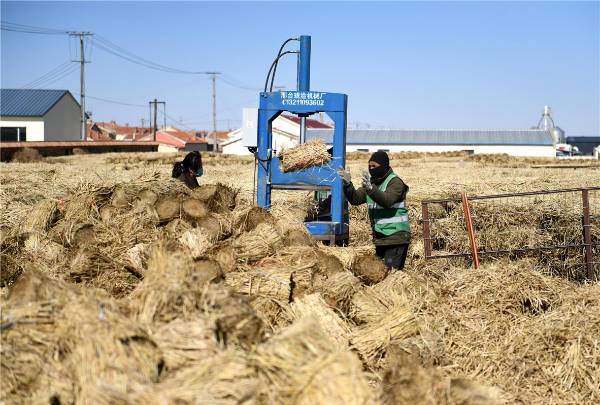 1742539868473184.jpg 4.jpg