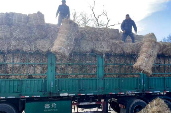 1742539927925753.jpg 6.jpg