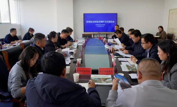 1742954087379063.jpg 1 (1).jpg