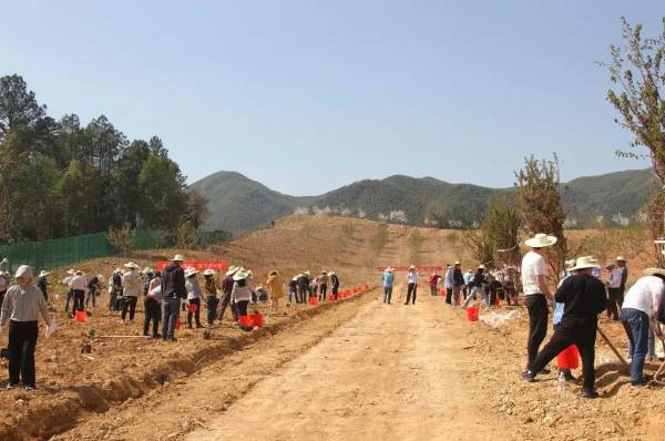 1742954198392323.jpg 2 (1).jpg