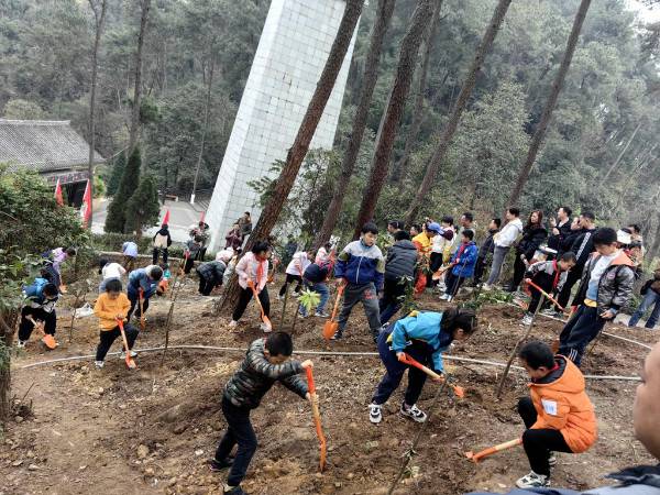 1742966929816198.jpg 1 (1).jpg