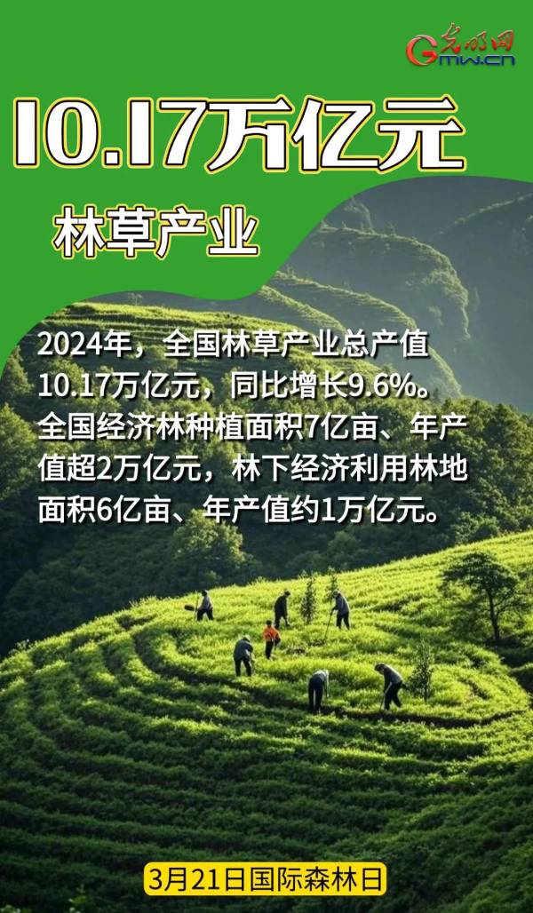 1742968291190164.jpg 3.jpg