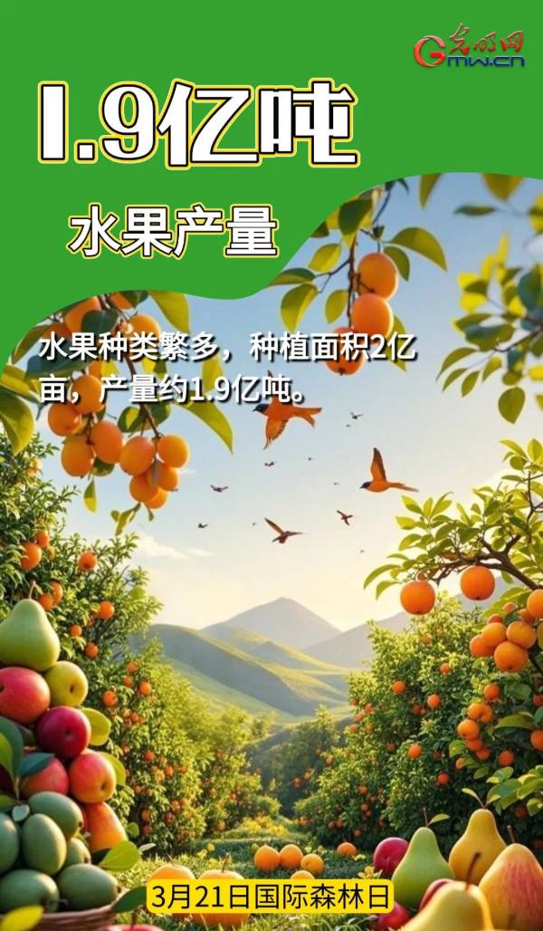 1742968295675207.jpg 4.jpg