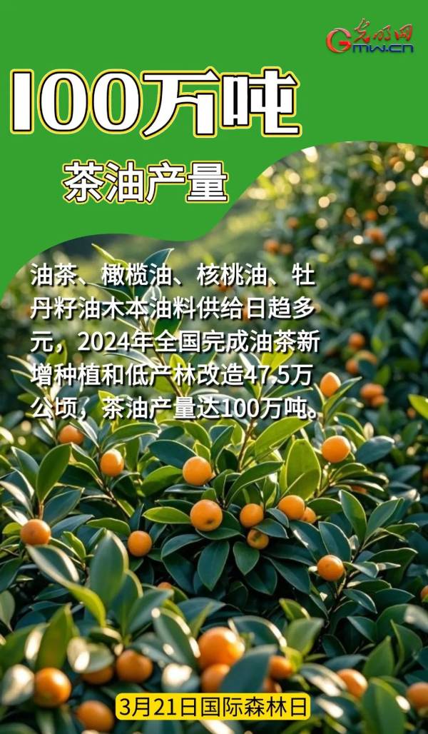 1742968299460031.jpg 5.jpg