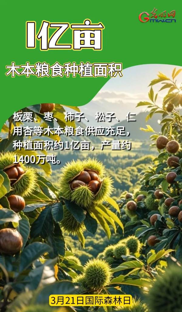 1742968303853375.jpg 6.jpg