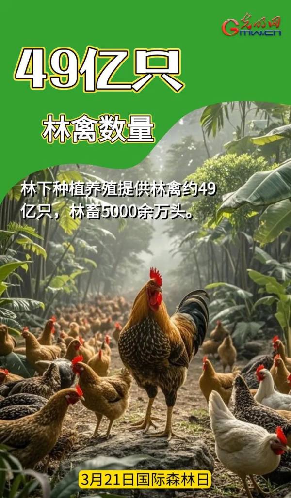 1742968307475768.jpg 7.jpg