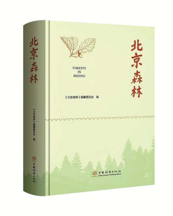 1742968621662384.jpg 8.jpg