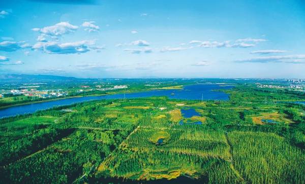 1742968628559684.jpg 9.jpg