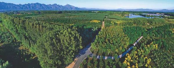 1742968686291505.jpg 11.jpg