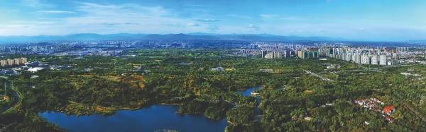 1742968695311317.jpg 12.jpg