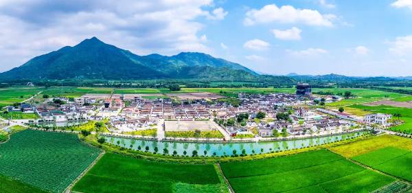 1742968855402469.jpg 1 (1).jpg