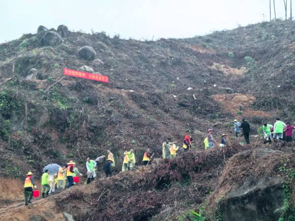 1742968873708370.jpg 2 (1).jpg