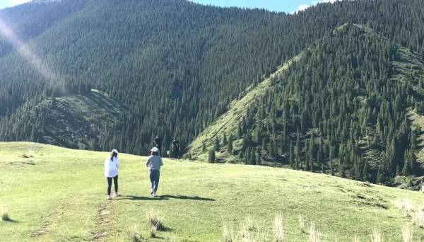 1742969030270801.jpg 4 (1).jpg