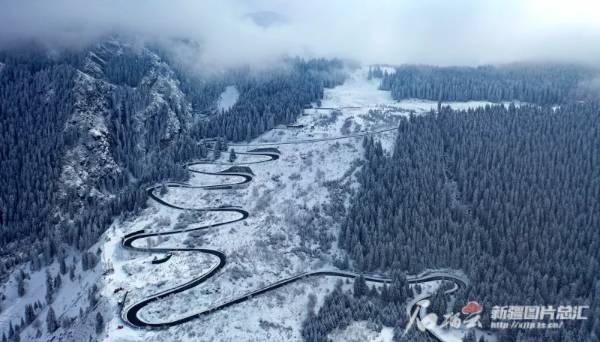 1742969036557890.jpg 5 (1).jpg