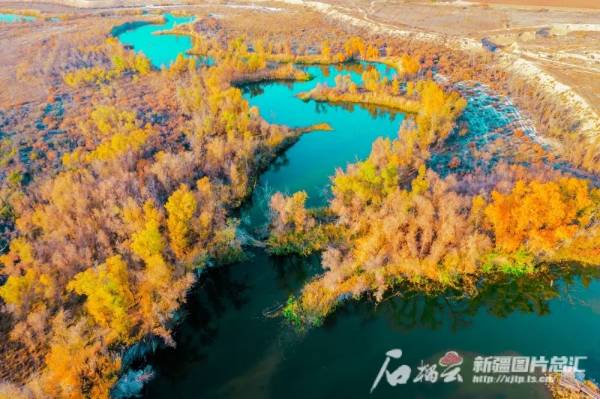 1742969042372116.jpg 6 (1).jpg