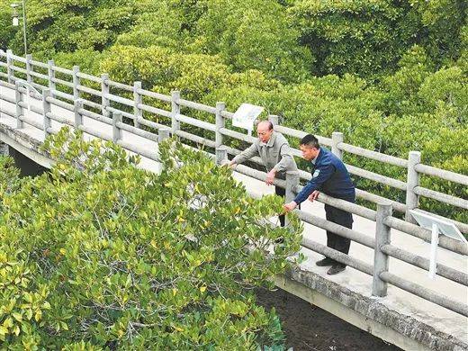 1742969208657951.jpg 1.jpg