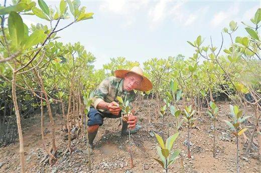 1742969218337655.jpg 2.jpg