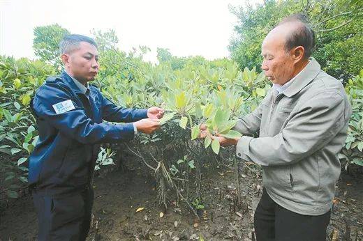 1742969225982375.jpg 3.jpg