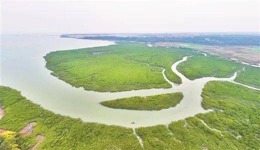 1742969233242430.jpg 4.jpg