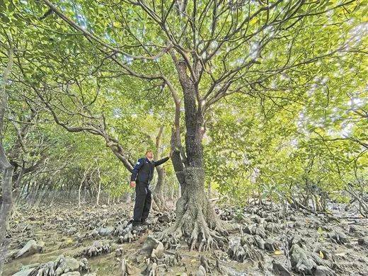 1742969239867414.jpg 5.jpg