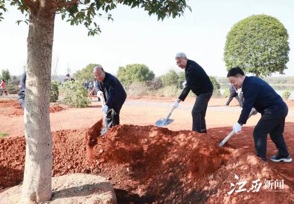 1742970204563040.jpg 1 (1).jpg