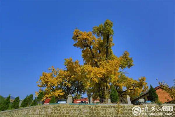 1742970655544532.jpg 1 (1).jpg