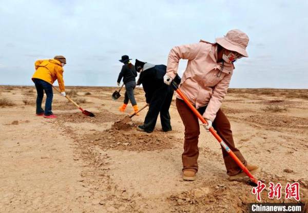 1742972004603679.jpg 2.jpg