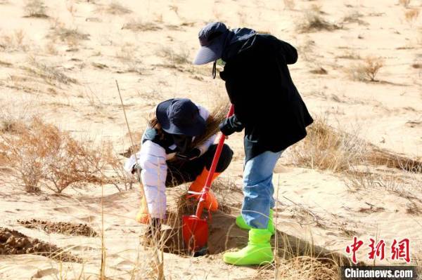 1742972010480231.jpg 3.jpg