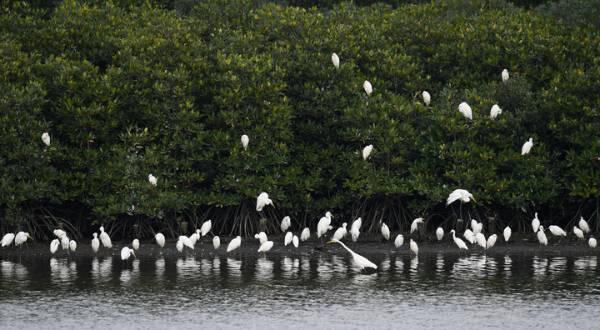 1742972100983082.jpg 6.jpg