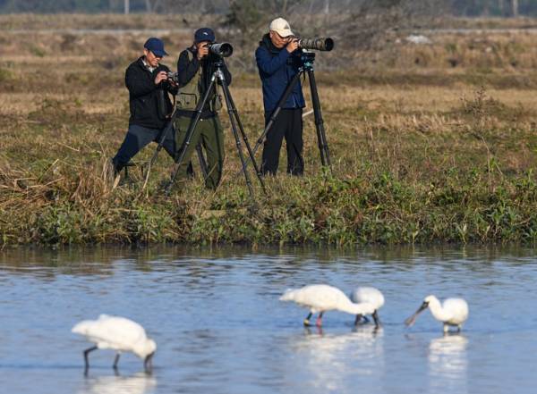 1742972123937280.jpg 8.jpg